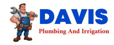 Trusted plumber in RIVES